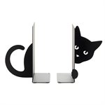 Hidden Cat Bookend