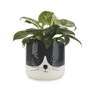 Kitty Flower Pot
