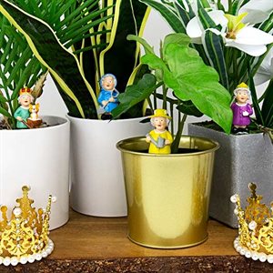 Mini Plant Pot Royals