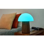 Grande Lampe Champignon Alice-Noyer