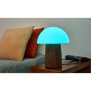 Grande Lampe Champignon Alice-Noyer