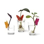 Porte-fleurs Leafly