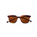 Cauce Sunglasses-Amber Tortoise