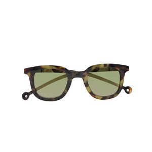 Cauce Sunglasses-Tortoise