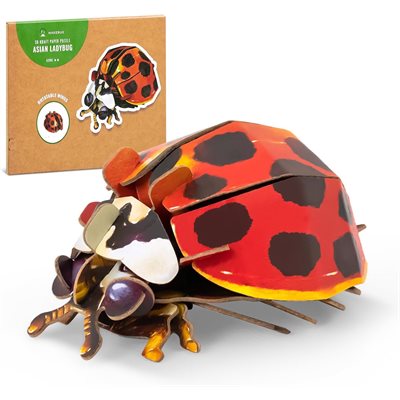 Makebug Asian Ladybug 3D Paper Puzzle