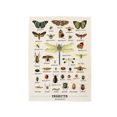 Insects Tea Towel