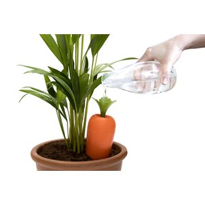 Care-It Self-watering device 